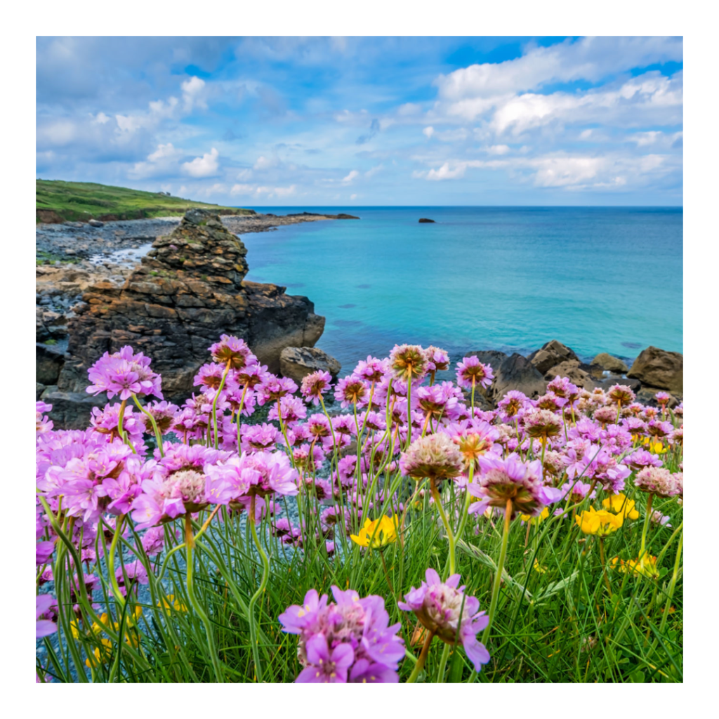 Beaches in Cornwall