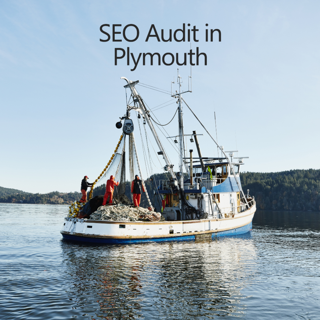 SEO Audit in Plymouth